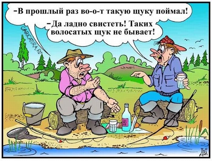 Забавные карикатуры 