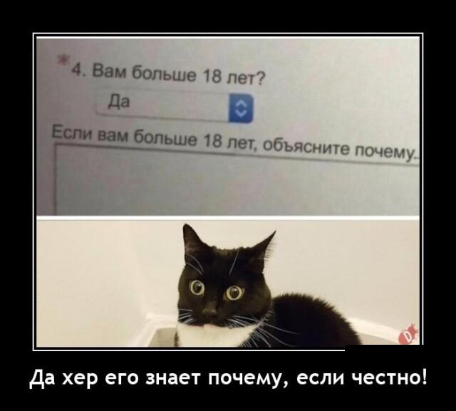 Очередная порция демотивирующих картинок, традиционно вызывающих улыбку и настраивающих на позитивное настроение! Очередная порция демотивирующих картинок, традиционно вызывающих улыбку и настраивающих на позитивное настроение!