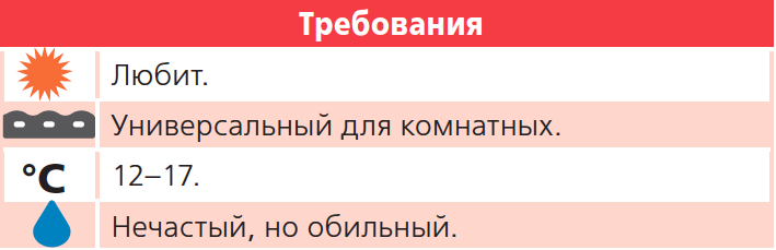 Нажимите для увеличения