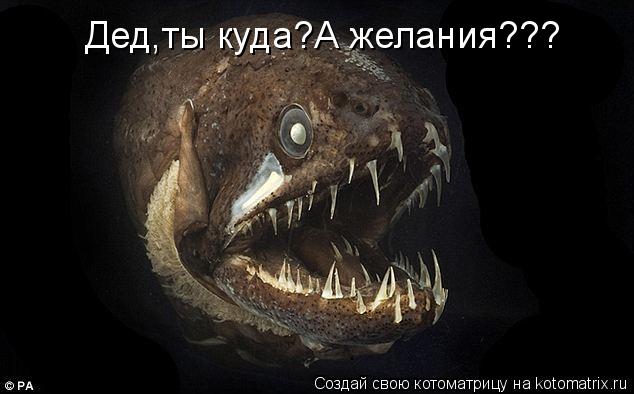 Дед,ты куда?А желания???