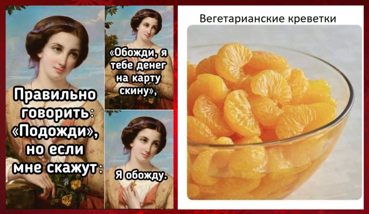 Смешные картинки с надписями и вегетарианские креветки