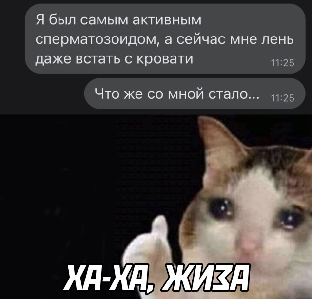 Подборка картинок. Вечерний выпуск Подборка картинок. Вечерний выпуск приколы,смешные картинки,юмор