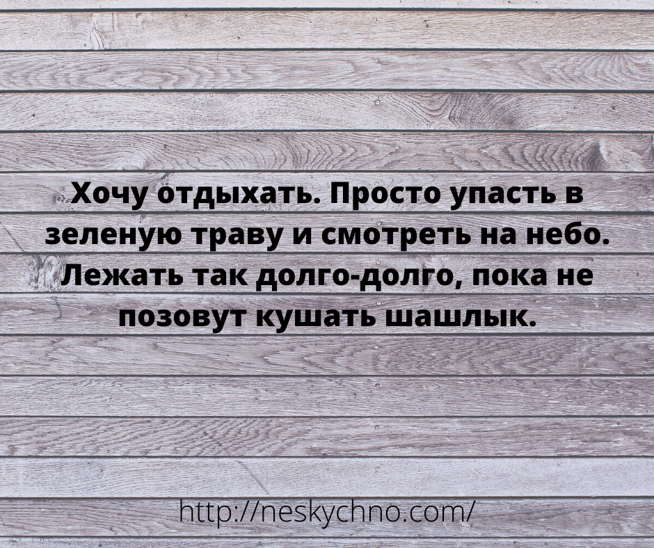 Лучшие анекдоты дня – для вас Лучшие анекдоты дня – для вас