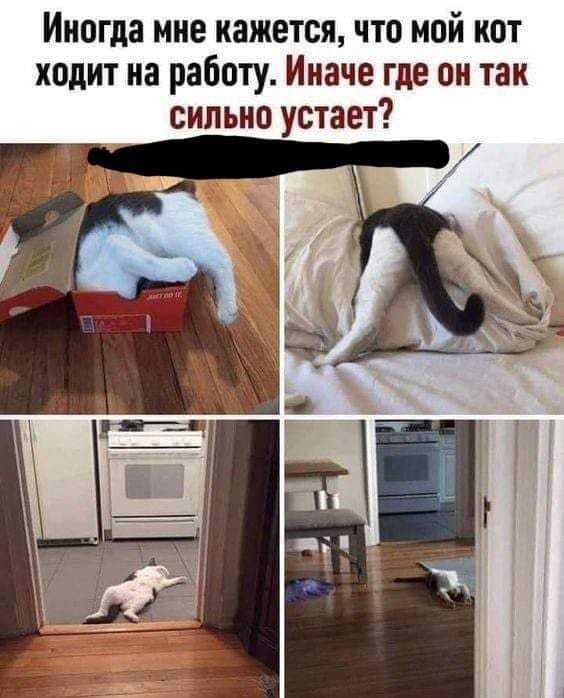 Юмор из интернета 646 Юмор из интернета 646 позитив,смех,улыбки,юмор