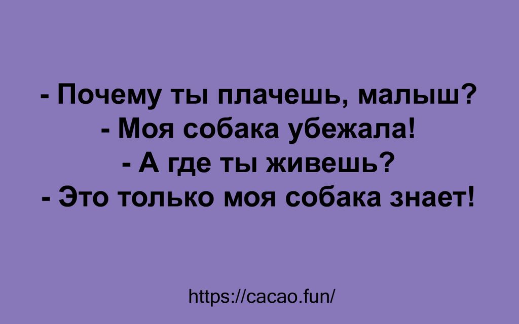 Замечательная десятка анекдотов с неожиданным финалом Замечательная десятка анекдотов с неожиданным финалом