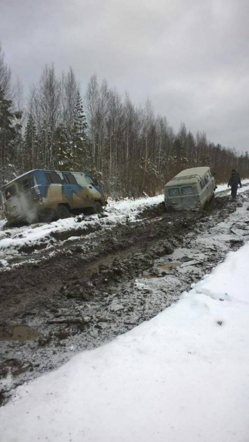 Прикольные картинки для всех и каждого 