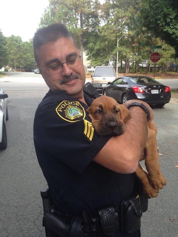 This police puppy at her first day of work.