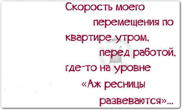 Хорошо быть голубем... Захотел в Париж - слетал... Весёлые,прикольные и забавные фотки и картинки,А так же анекдоты и приятное общение