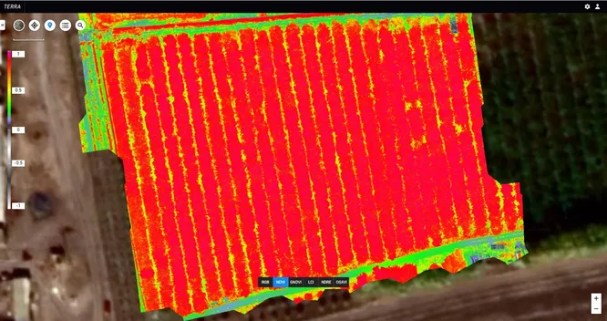 Вегетационный индекс NDVI 