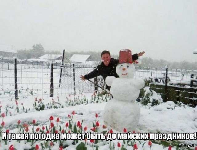 Весна уже пришла? Или пока еще нет? Весна уже пришла? Или пока еще нет? смешные картинки