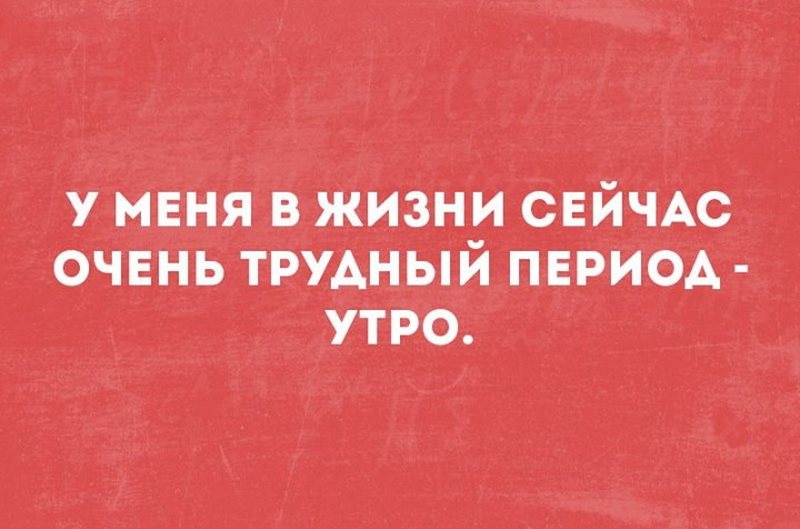 Утренний позитив для вас