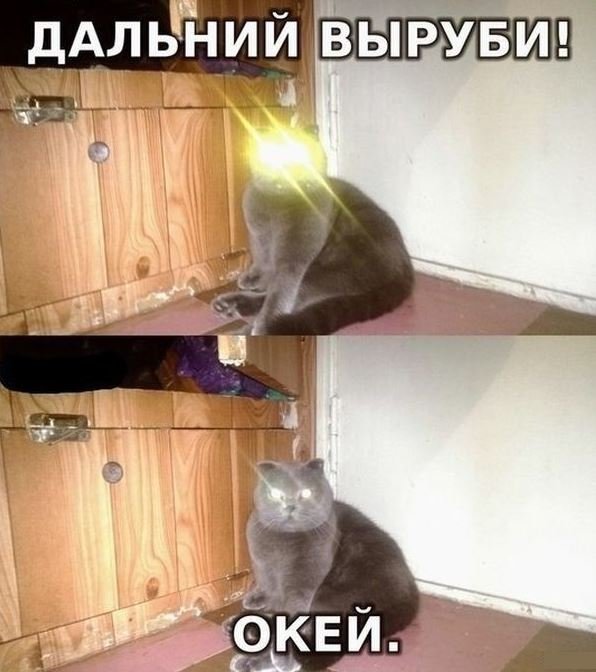 Самые смешные картинки с надписями до слез, хорошенькие картинки телефон