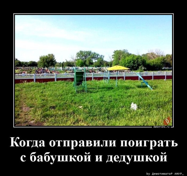 Демотиваторов пост: «Встретив медведя в лесу…» 