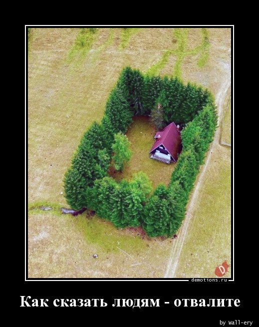 Демотиваторов пост: «Встретив медведя в лесу…» 