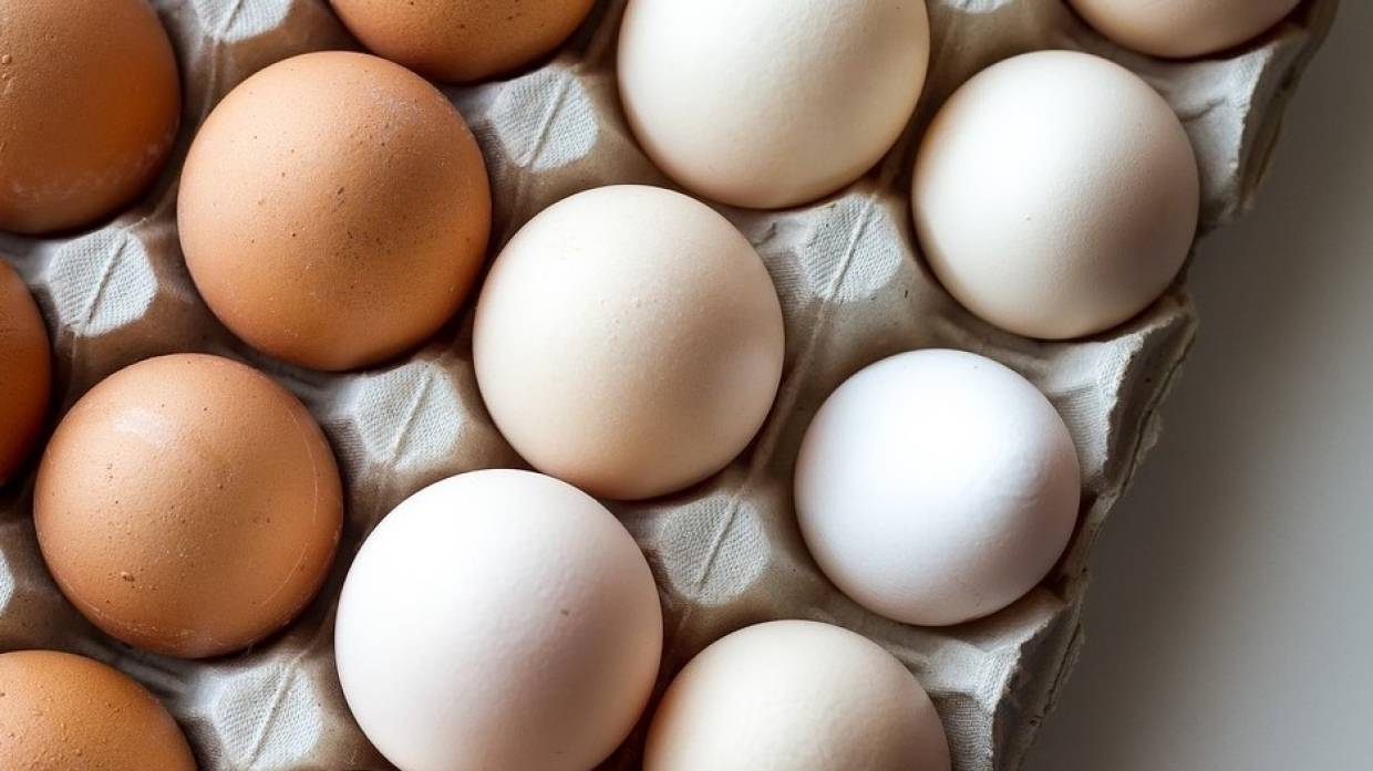 В Крымстате сообщили, насколько подорожали бензин и стройматериалы на полуострове В Крымстате сообщили, насколько подорожали бензин и стройматериалы на полуострове Экономика