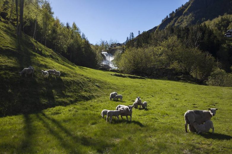 Чернобыль, Тадж-Махал и другие интересные места планеты на фото Джеффри Гарриока Чернобыль, Тадж-Махал и другие интересные места планеты на фото Джеффри Гарриока