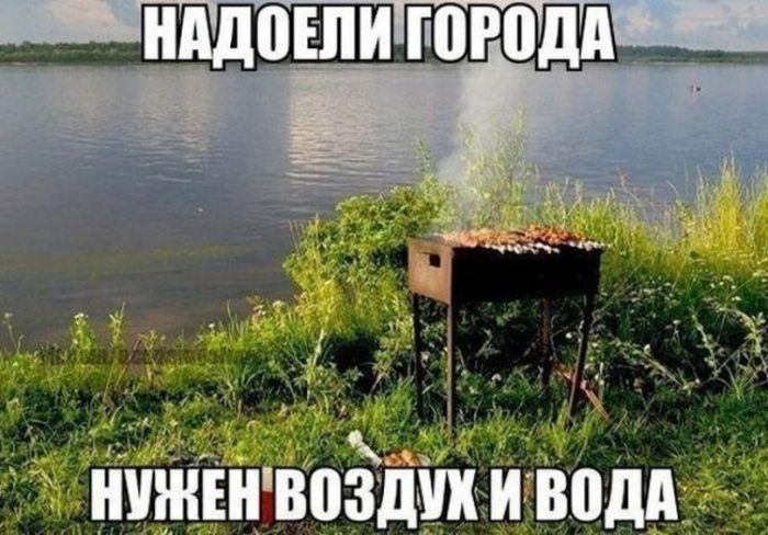Смешные картинки с надписями для поднятия настроения (11 фото)
