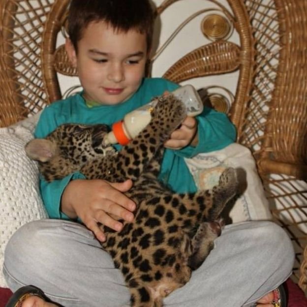 Тьяго — мальчик, живущий с ягуарами 