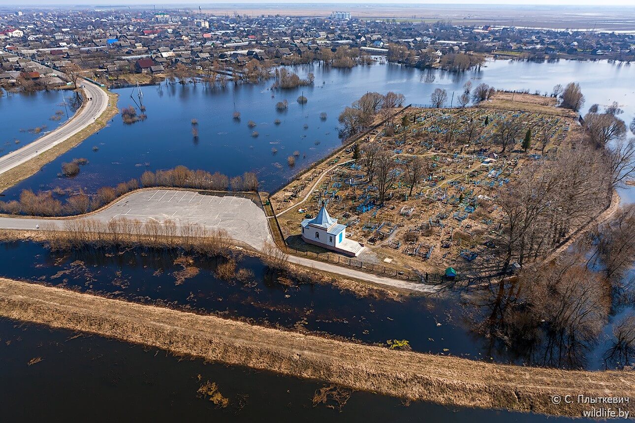 Белорусская «Амазония» удивила иностранцев заграница,путешествие,туризм