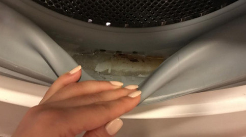 Благодаря этим 5 трюкам твоя стиральная машинка всегда будет чистой и сияющей... Плесень испарилась!
