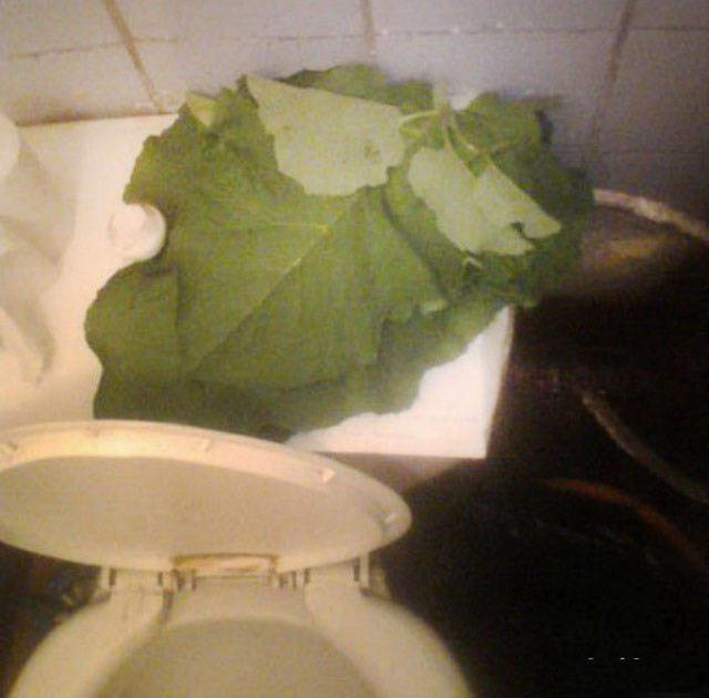 Удивительные снимки с российских просторов люди, прикол, россия