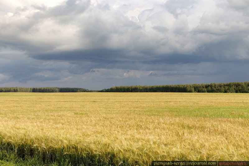 Белорусские просторы белорусия, путешествия, репортаж, фото