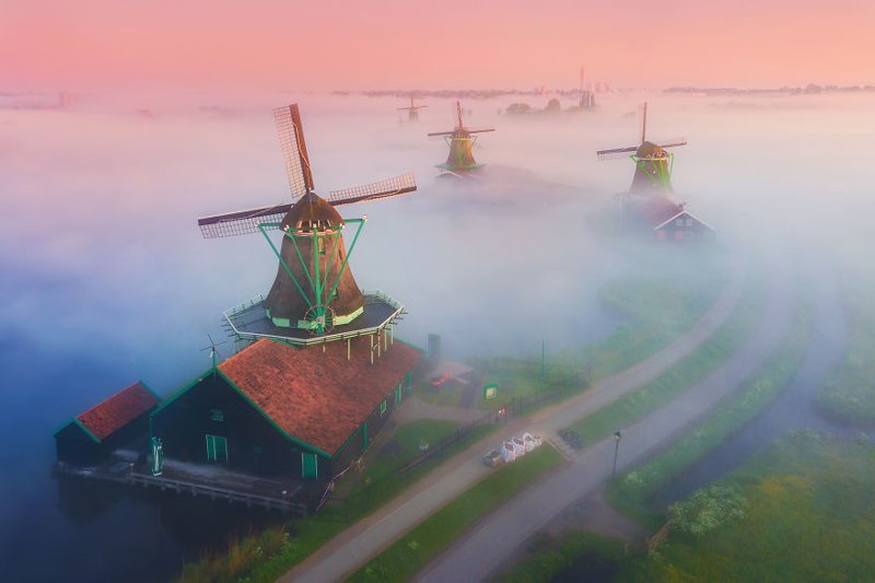 Солнце понемногу восходит, и туман, скрывающий мельницы, розовеет Заансе Сканс, ветряные мельницы, волшебные места, голландия, деревня мельниц, красота, туман, фото
