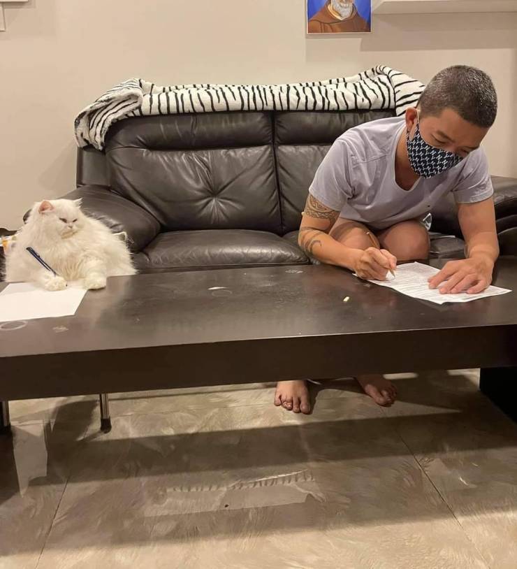 Подборка прикольных картинок  приколы,смешные картинки,юмор