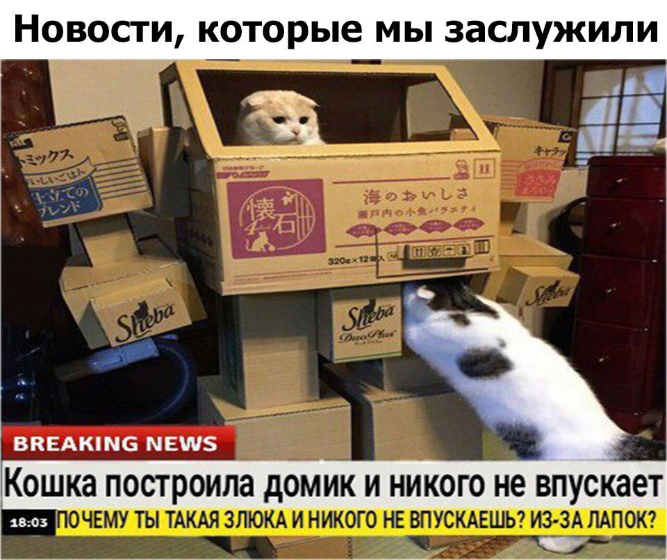 Позитивные и жизненные картинки с надписями со смыслом (12 фото)