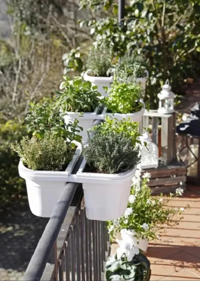 Оптимальный вариант для небольшого балкона: размещение растений на перилах в специальных подвесных горшках Оптимальный вариант для небольшого балкона: размещение растений на перилах в специальных подвесных горшках для дома и дачи,идеи и вдохновение