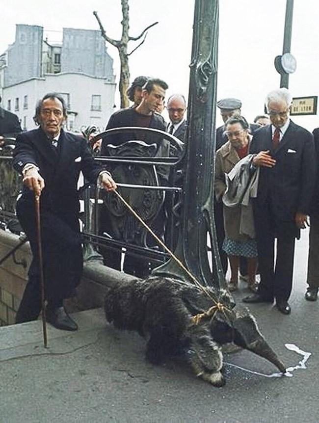 40 ретрофото, демонстрирующих то, каким странным мир был раньше 40 ретрофото, демонстрирующих то, каким странным мир был раньше чтобы, через, войны, конкурса, какой, приходилось, Женщина, магазинов, после, средства, мировой, Первой, солдаты, сумасшедшем, далеком, хотите, сегодня, прошлом, стреляет, работницы