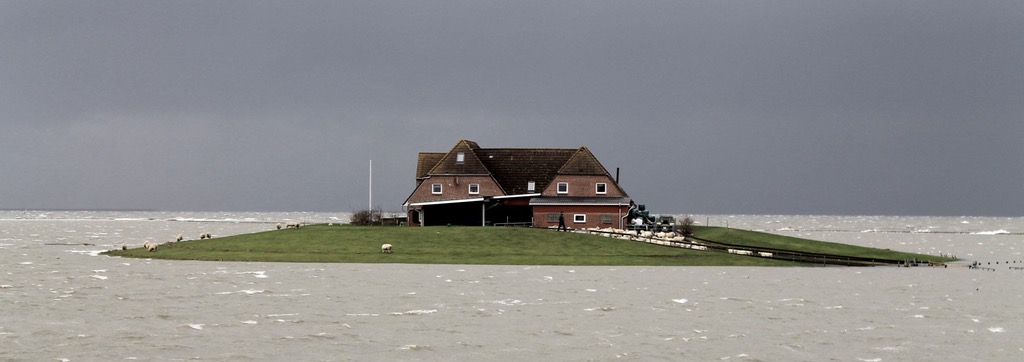 hallig 1