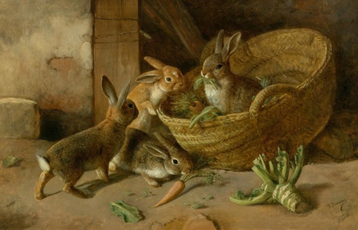 Почему на Руси употребление в пищу мяса кролика считалось грехом интересное,интересные факты,история