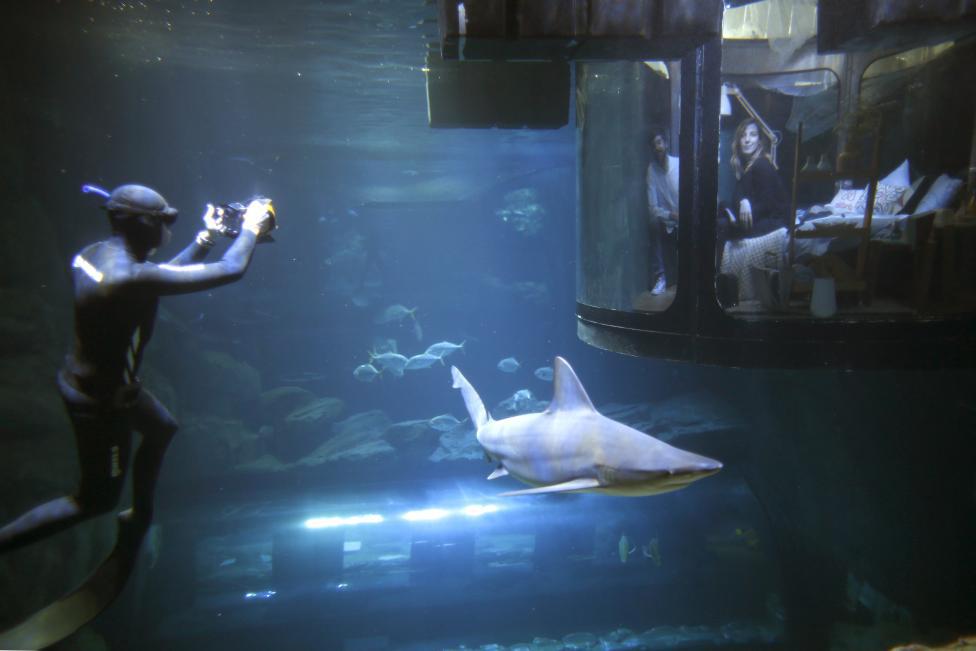 A diver takes pictures as people look at sharks from an underwater room structure installed in the Aquarium of Paris