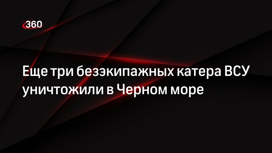 МО: в Черном море уничтожили еще три следовавших к Крыму безэкипажных катера ВСУ