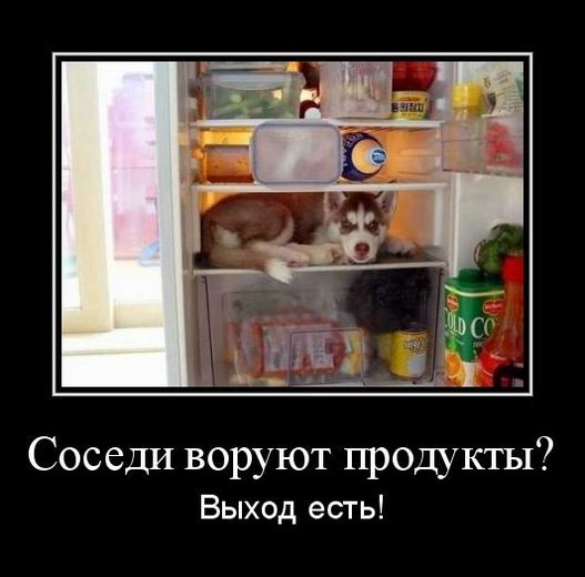 Демотиваторы — приколы для всех и для каждого: «За каждым великим мужчиной…»  