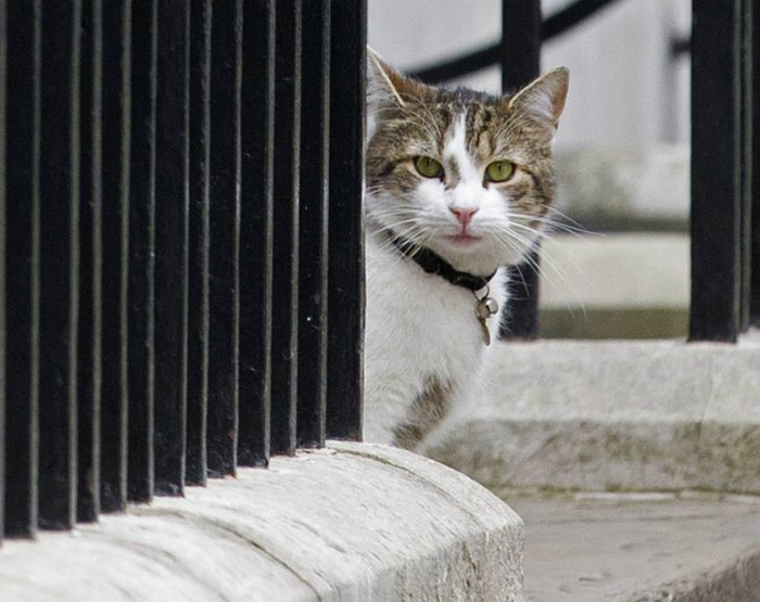 Ошибки, которые повлияли на развитие значимых исторических событий