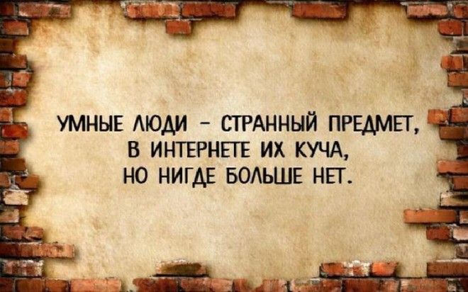 20 интеллектуально-юмористических открыток, которые точно вас развеселят 