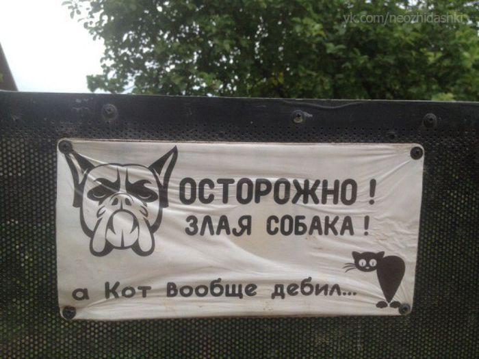 Собака дебил. Осторожно, злая собака!. Табличка "злая собака". Табличка осторожно злая собака. Злая собака а кот вообще дебил.