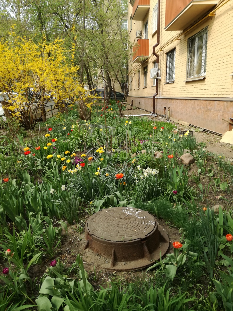 Красота своими руками.