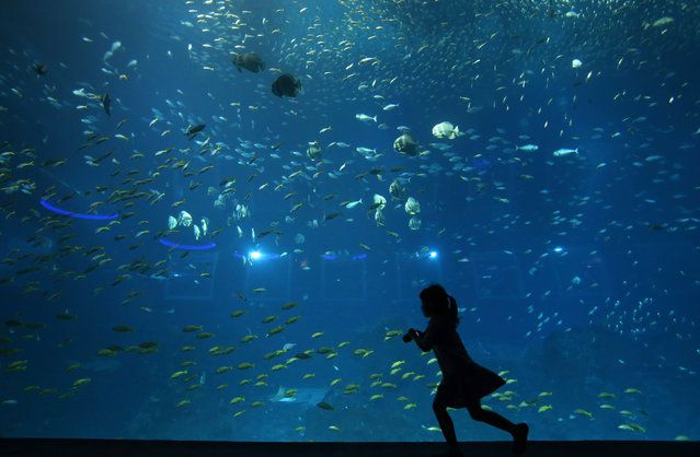 рекорд, книга рекордов