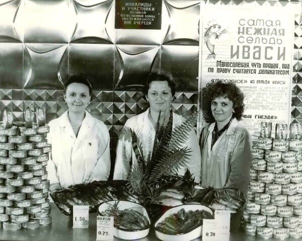 Деликатес времен СССР: рецепты из сельди иваси рыбные блюда,сельдь