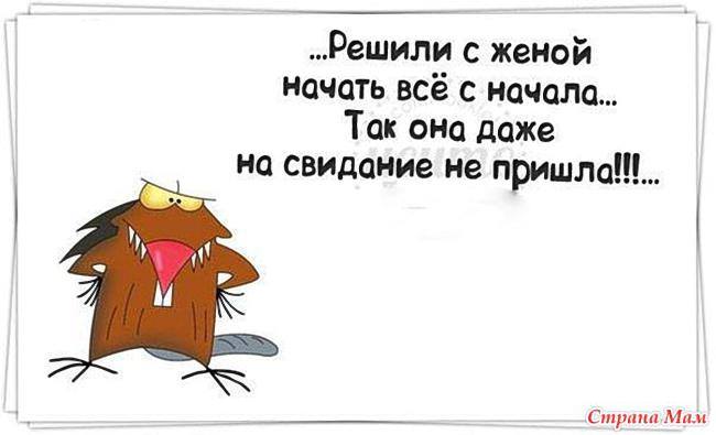 Сидят утром в субботу два приятеля на кухне. Помятые немного, видать, перебрали чуть-чуть вчера... весёлые, прикольные и забавные фотки и картинки, а так же анекдоты и приятное общение