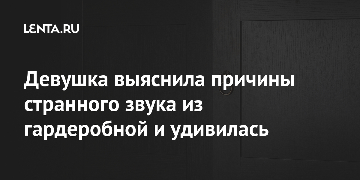 Девушка выяснила причины странного звука из гардеробной и удивилась Интернет и СМИ