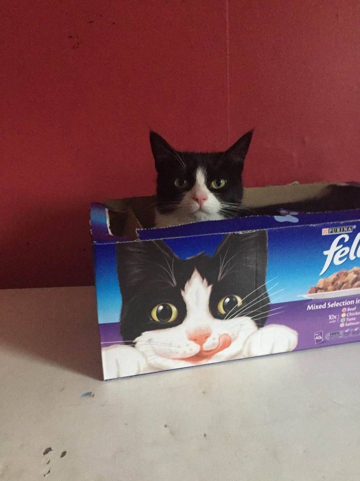 Подборка прикольных картинок  приколы,смешные картинки,юмор