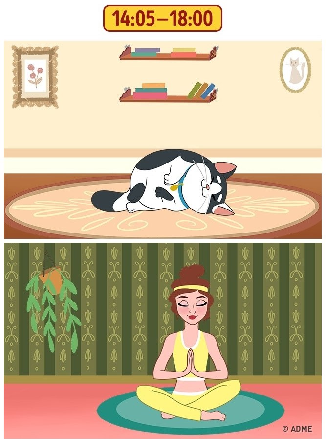 Один день из жизни соседей сверху. Знакомо? картинки с надписями,приколы,смешные комментарии,юмор