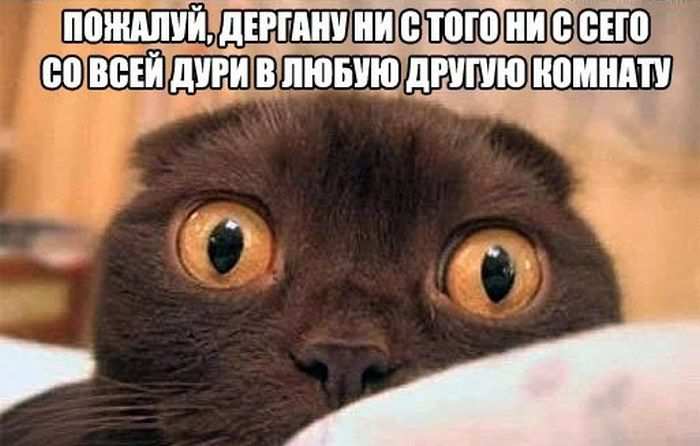 Подборка прикольных фото про детей депутатов, биологию и половую жизнь до брака и они ждут новый iPhone Подборка прикольных фото про детей депутатов, биологию и половую жизнь до брака и они ждут новый iPhone позитив