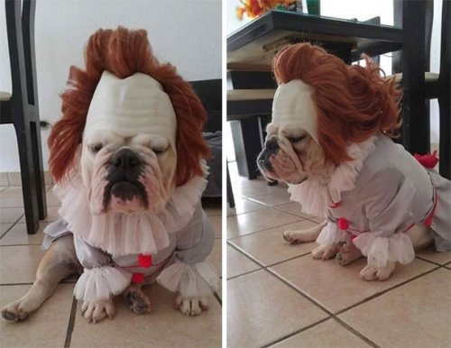 30 лучших костюмов на Хэллоуин, которые мы увидели в 2018 году 