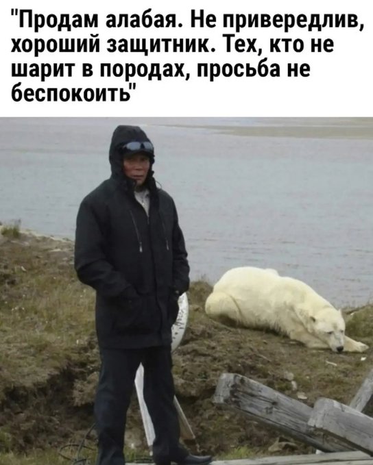 Если кого-то боги хотят наказать, то дают тому серьёзности больше, чем ума Если кого-то боги хотят наказать, то дают тому серьёзности больше, чем ума