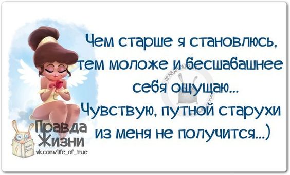 В бар заходит мужик, а за ним страус и мокрая кошка... Весёлые,прикольные и забавные фотки и картинки,А так же анекдоты и приятное общение